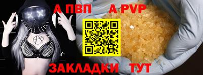 стаф Кинель