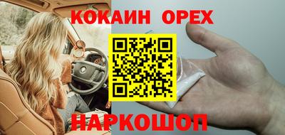 стаф Кинель