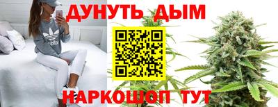 не бодяженный Кингисепп